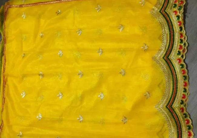 Beautiful Embroidered Silk Saree
